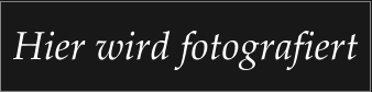 Hier wird fotografiert